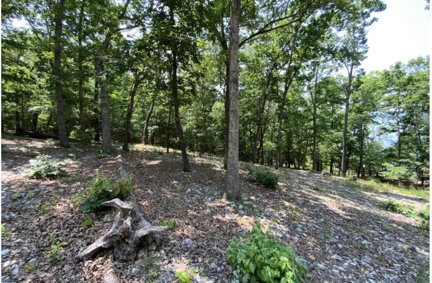 Driftwood Resort Bull Shoals Exterior foto